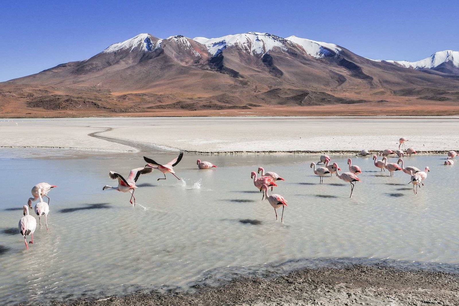 Bolivien Individualreisen 2024 buchen