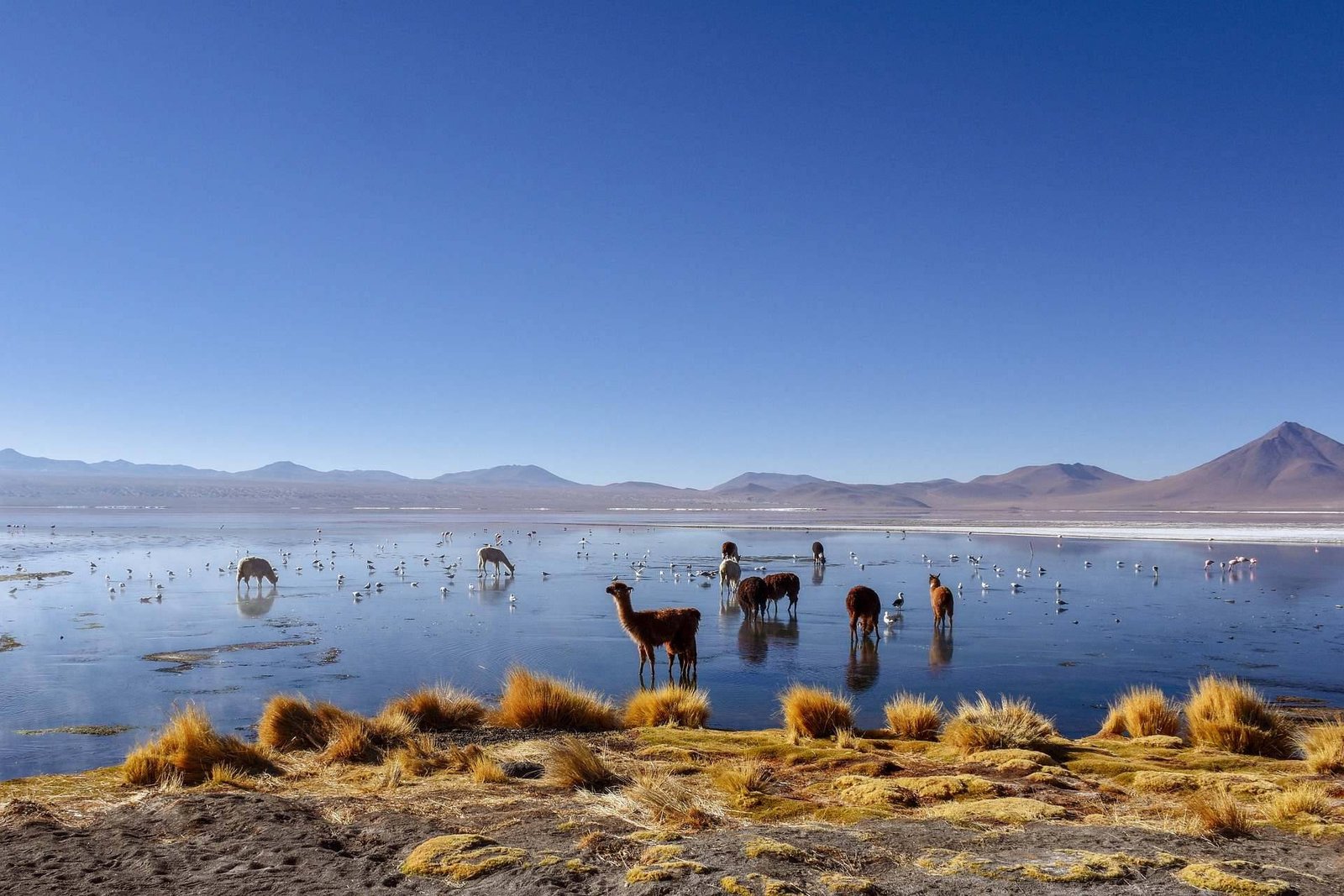 Bolivien Individualreisen 2024 buchen
